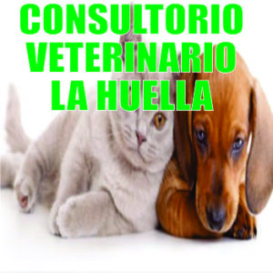 Consultorio Veterinario La Huella